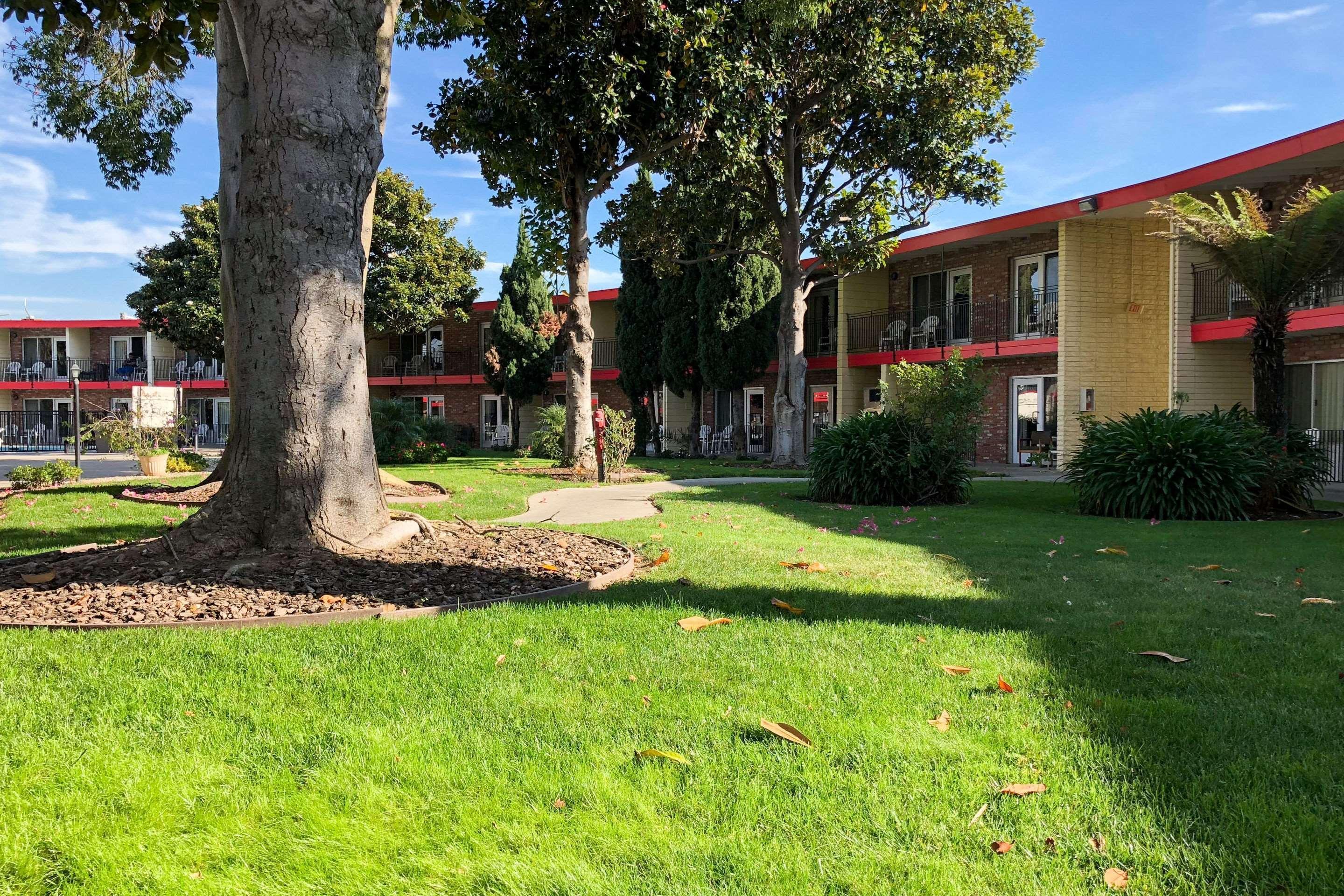 Econo Lodge Inn & Suites Oakland Airport Exterior photo